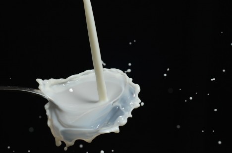 diabétesz kezelésében tej savó